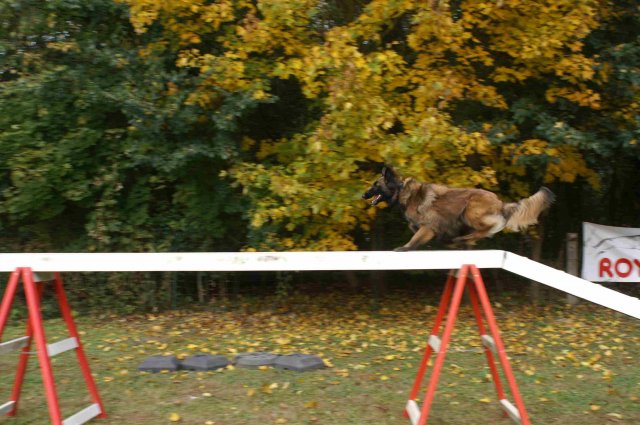 agility 2011-10-30